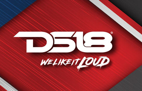 DS18 电声